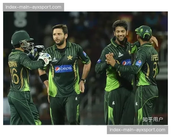 特写：印度板球超级联赛所有者加大投资，竞购NBA印度转播权