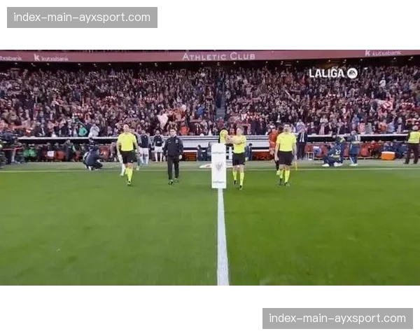 奥萨苏纳1-0小胜阿拉维斯，布迪米尔点射建功